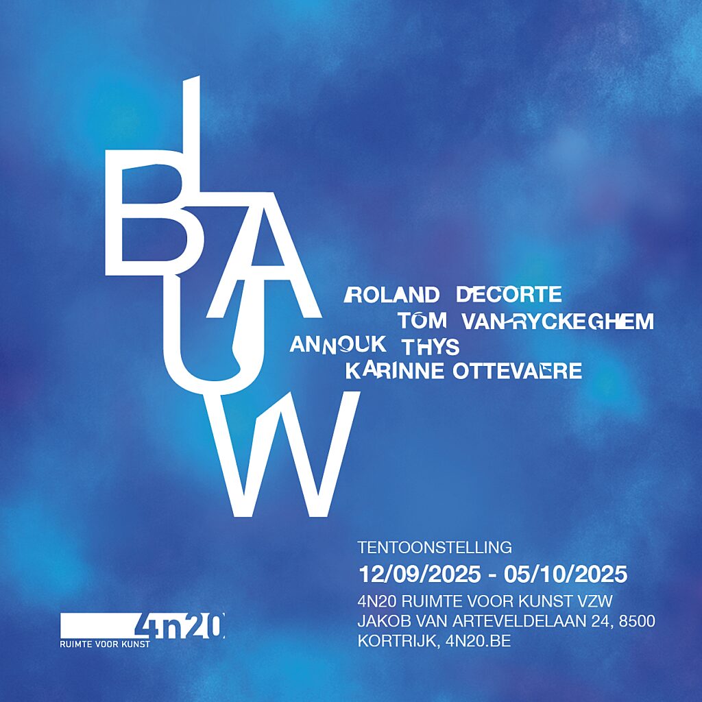 BLAUW insta 4n20